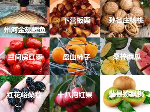 薊州風味 農副產品零食的質樸與創(chuàng)新